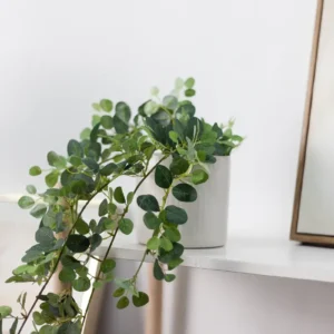 Chậu cây thằn lằn giả để bàn