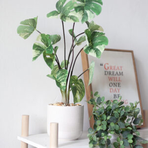 Chậu cây Monstera Thai Constellation giả để bàn