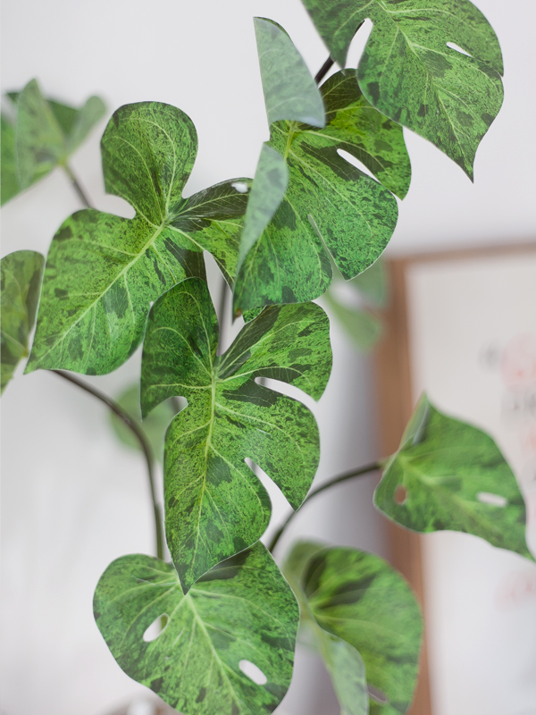 NC465 3 - Chậu cây monstera mint giả để bàn NC465 3 - Chậu cây monstera mint giả để bàn