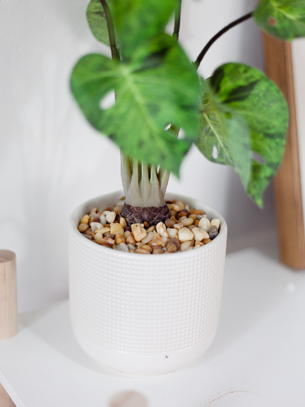 NC465 4 - Chậu cây monstera mint giả để bàn NC465 4 - Chậu cây monstera mint giả để bàn