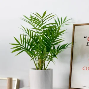 Chậu cây Cau Tiểu Trâm giả để bàn
