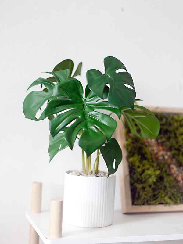 NC50 10 - Chậu cây monstera mini giả để bàn NC50 10 - Chậu cây monstera mini giả để bàn