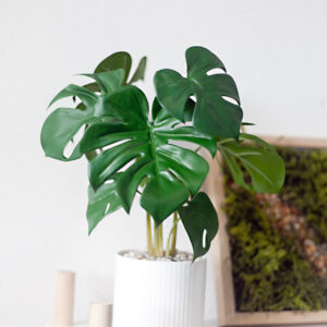 Chậu cây monstera mini giả để bàn