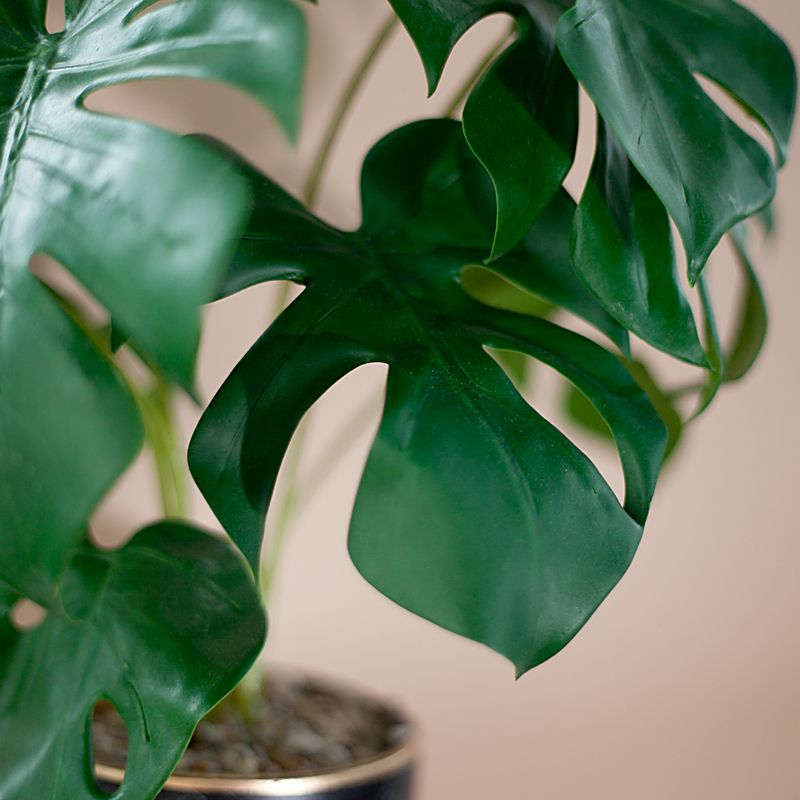 NC50 12 - Chậu cây monstera mini giả để bàn NC50 12 - Chậu cây monstera mini giả để bàn