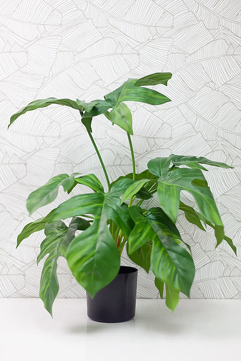 NC585 BC17.jpg - Cây trầu bà cánh én giả để bàn NC585 BC17.jpg - Cây trầu bà cánh én giả để bàn