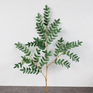 Cành dương xỉ Osmunda giả