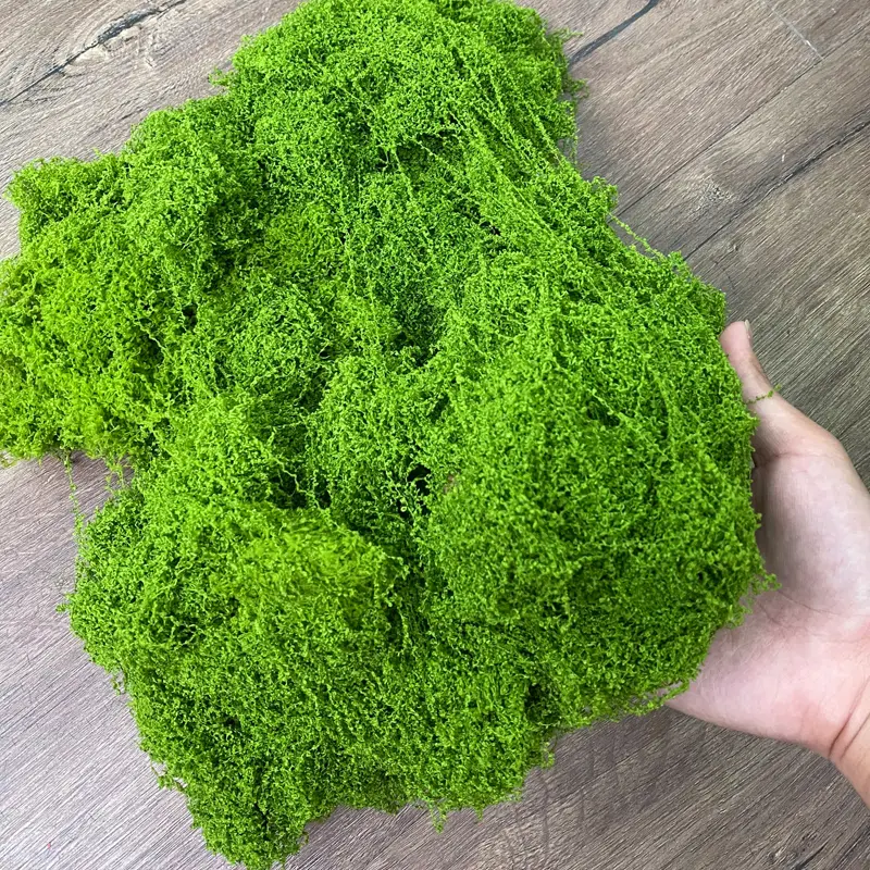 TR18 6.jpg - Rêu giả trang trí nền, tường - rêu sợi vải